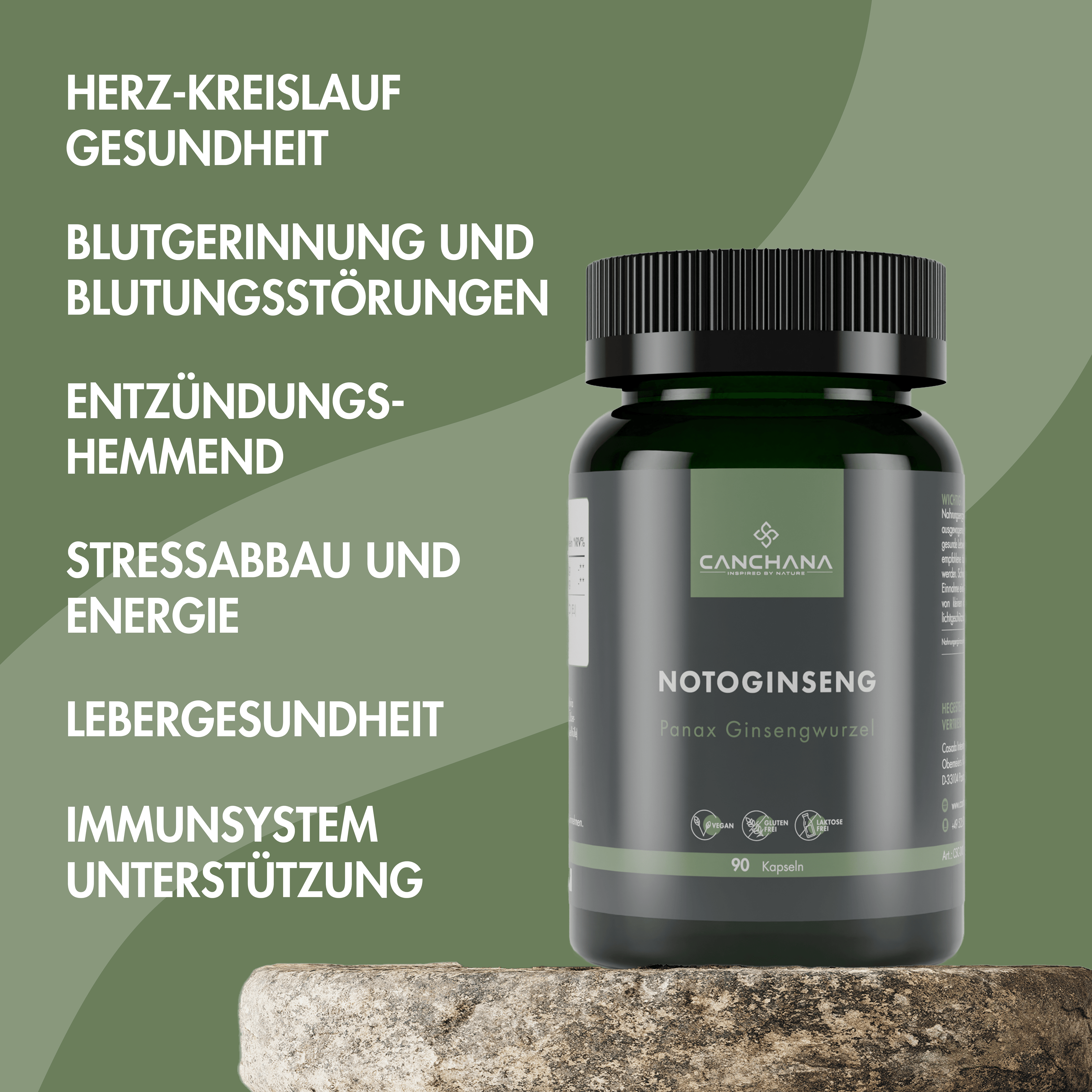 Detox & Leberregeneration