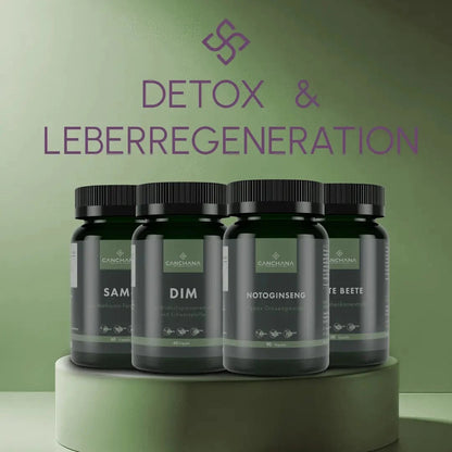 Detox &amp; Leberregeneration