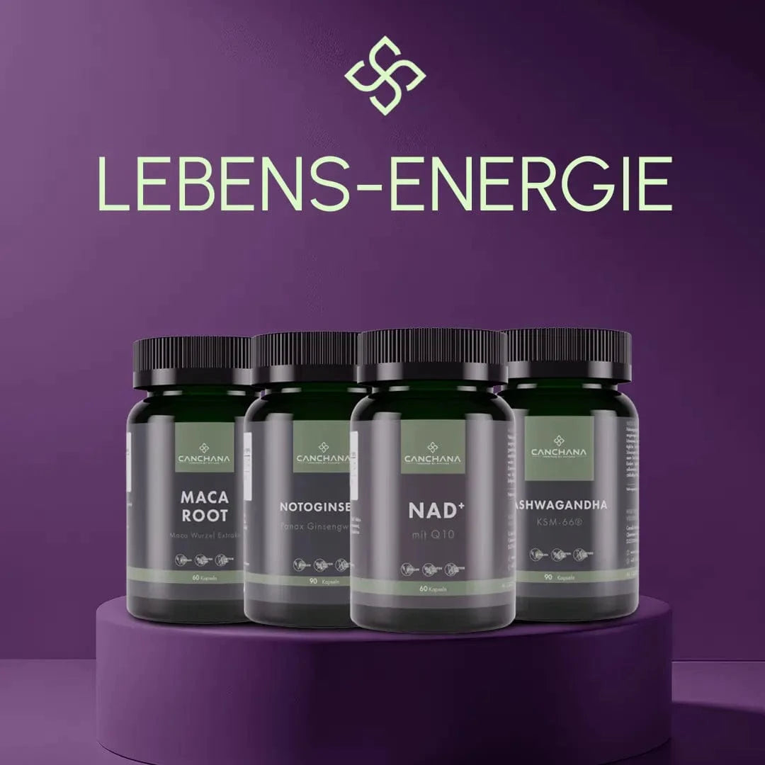 Lebens-Energie